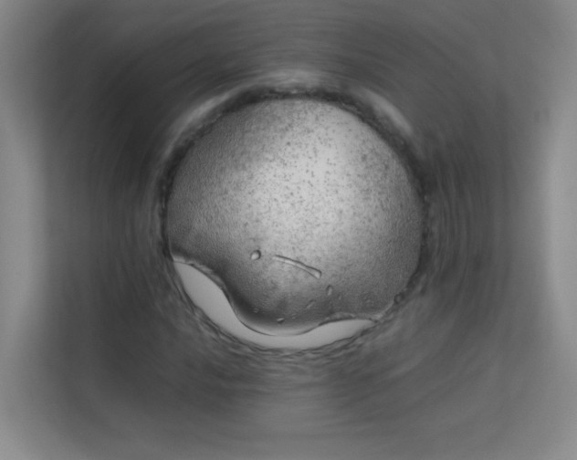 X0000113891016200909241412