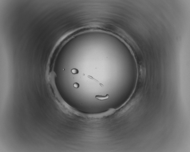 X0000113891020200909241413