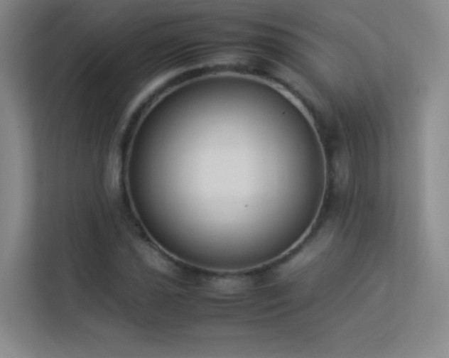 X0000113891021200909241413
