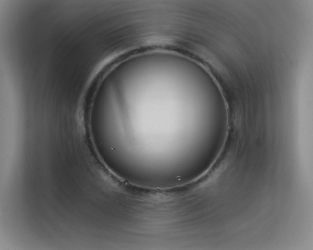 X0000113891022200909241413