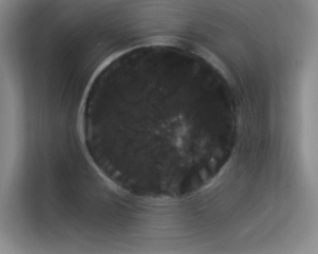 X0000113891024200909241413