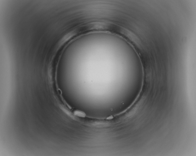 X0000113891026200909241413