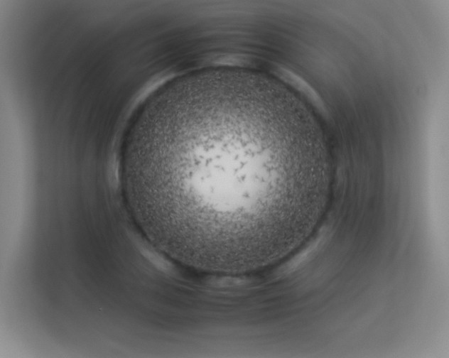 X0000113891027200909241413