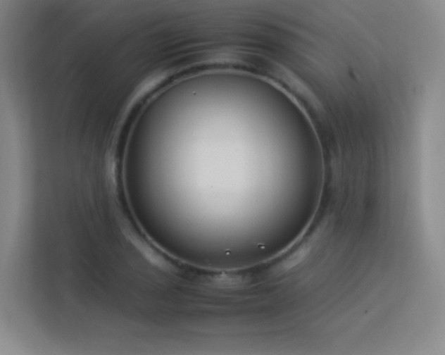 X0000113891029200909241413