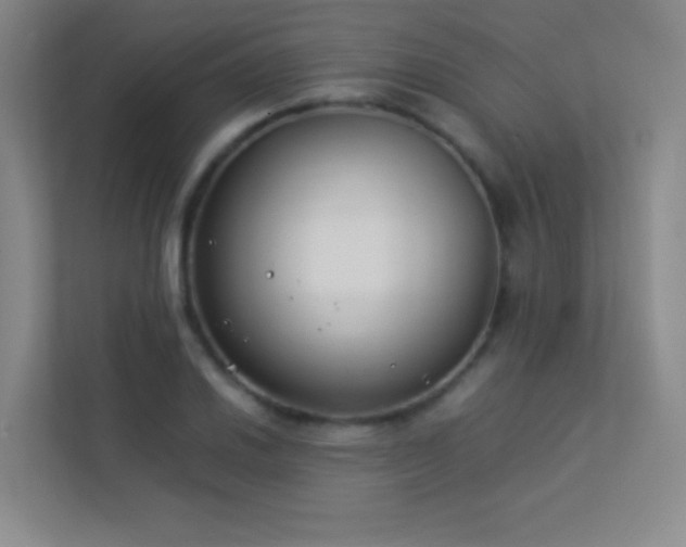X0000113891030200909241413