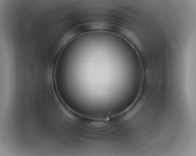 X0000113891033200909241413