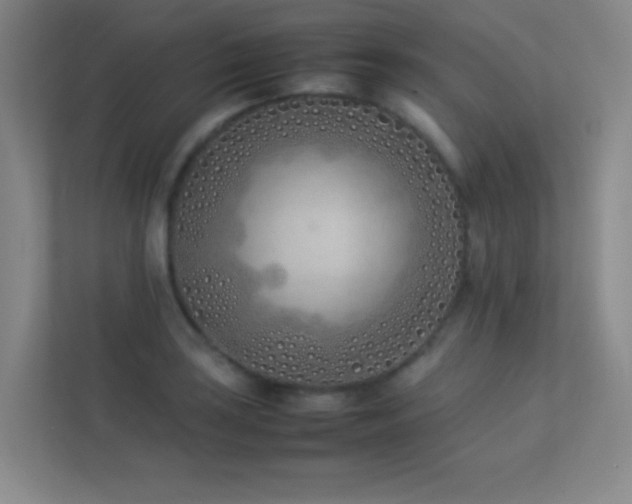 X0000113891035200909241413