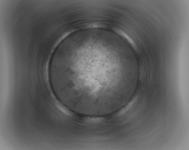 X0000113891039200909241413