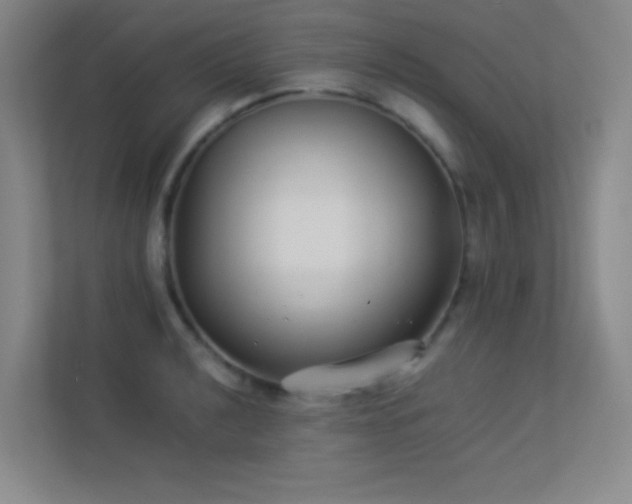 X0000113891040200909241413