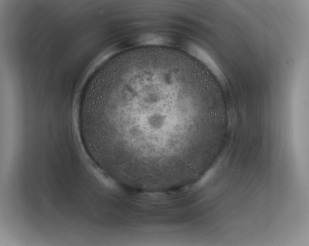 X0000113891043200909241413