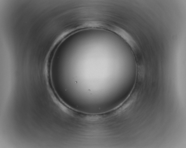 X0000113891046200909241413