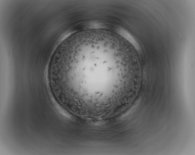 X0000113891047200909241413