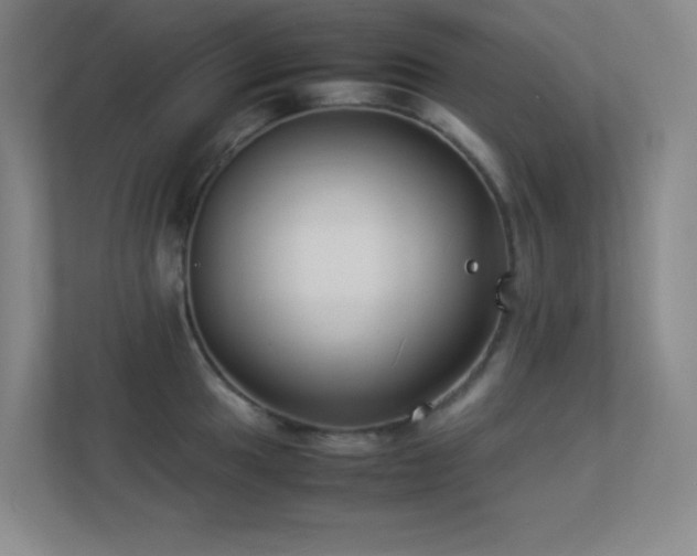 X0000113891049200909241413