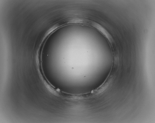 X0000113891050200909241413