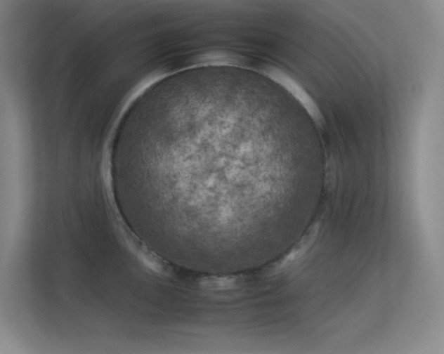 X0000113891051200909241413