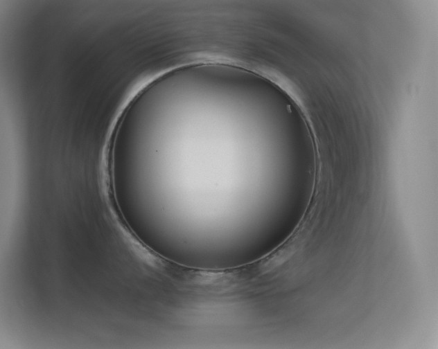 X0000113891056200909241413