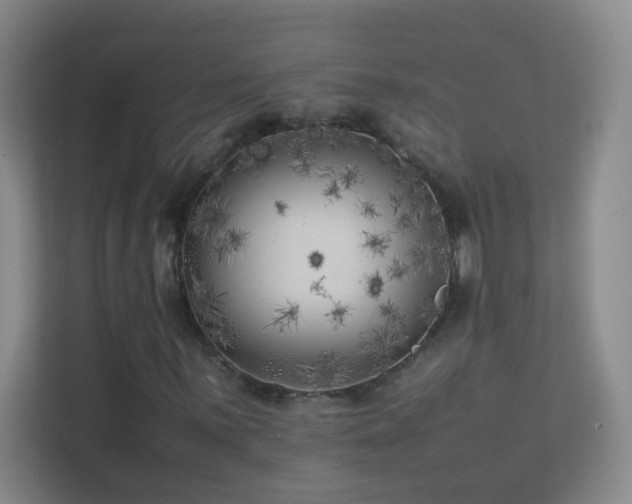 X0000113891059200909241412