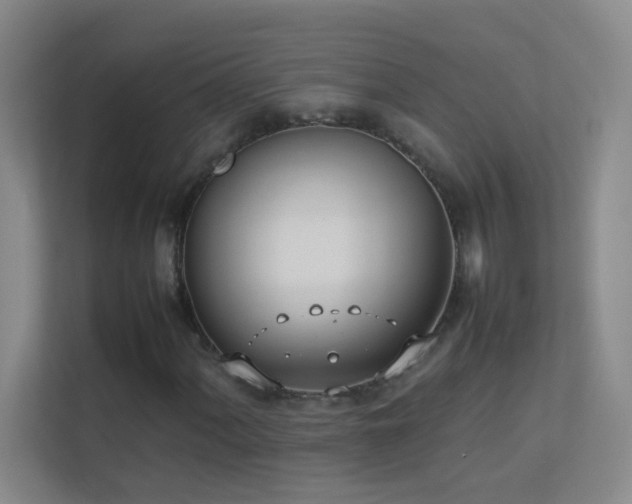 X0000113891060200909241412