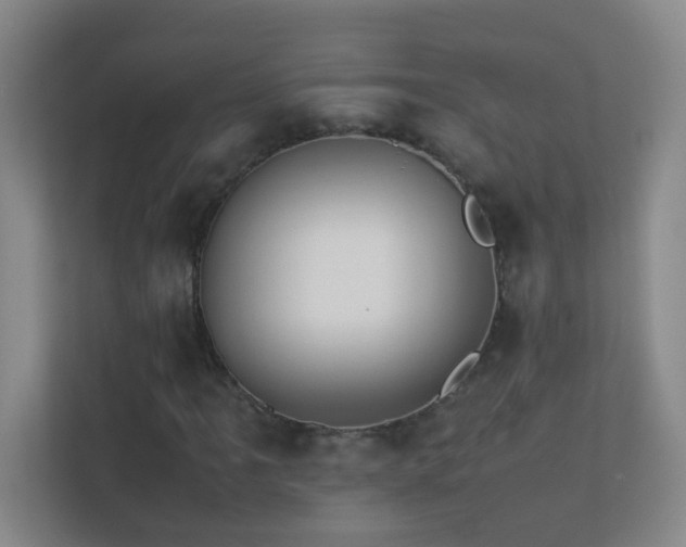 X0000113891061200909241412