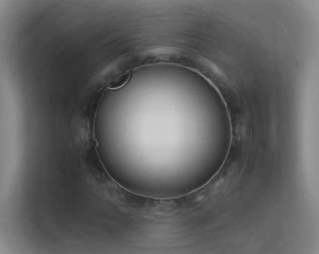 X0000113891062200909241412