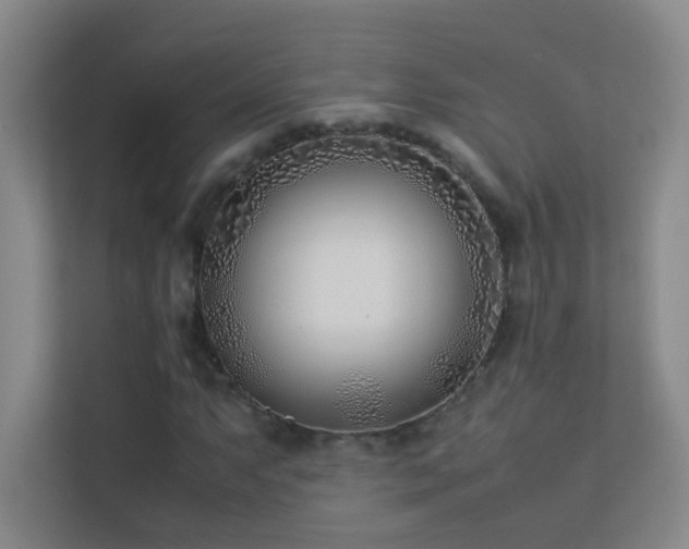 X0000113891063200909241412