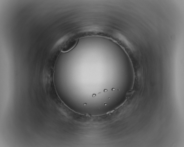 X0000113891064200909241412