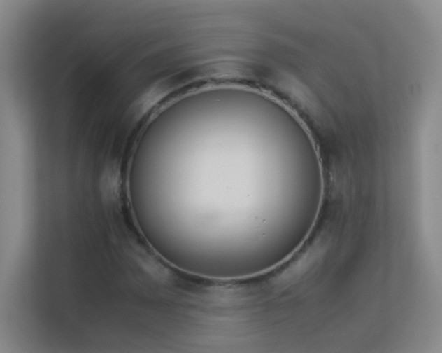 X0000113891065200909241412