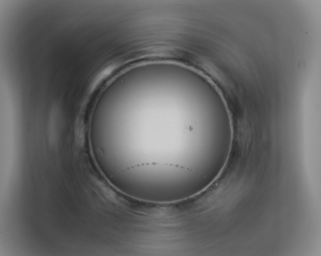 X0000113891067200909241412