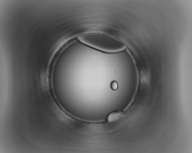 X0000113891068200909241412
