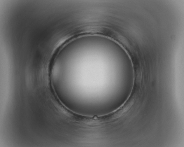 X0000113891071200909241412