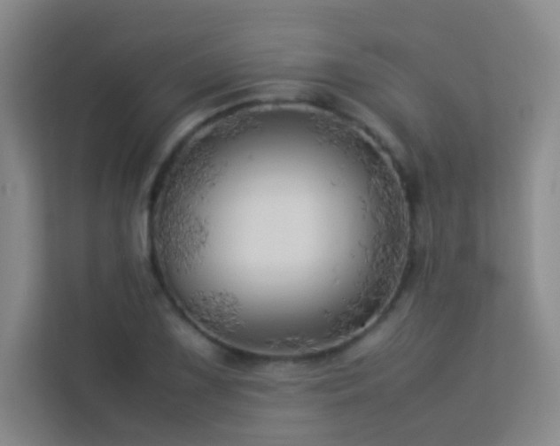 X0000113891075200909241412