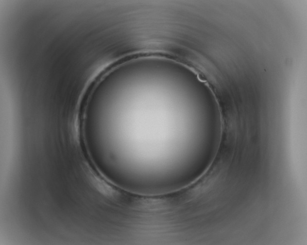 X0000113891076200909241412