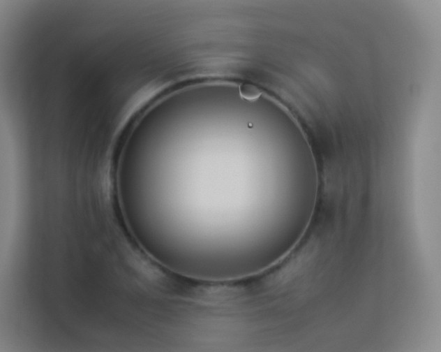 X0000113891077200909241412