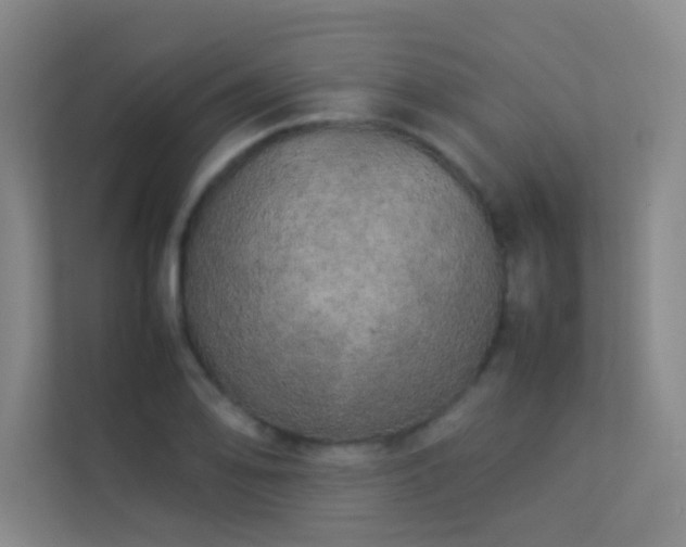 X0000113891078200909241412