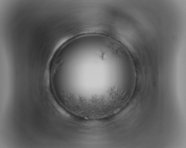 X0000113891079200909241412