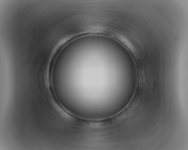 X0000113891080200909241412