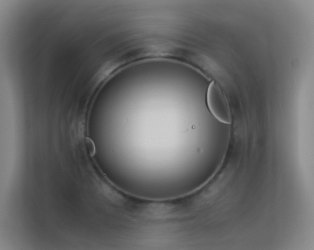 X0000113891081200909241412