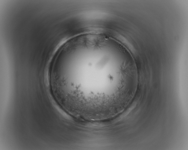 X0000113891083200909241412