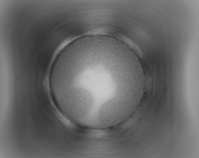 X0000113891086200909241412