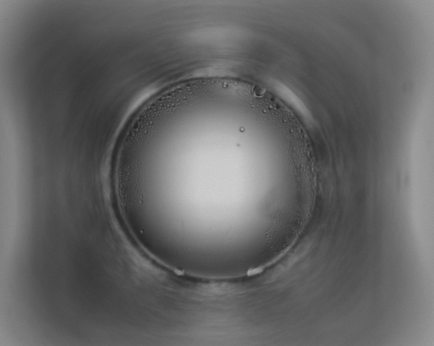 X0000113891087200909241412