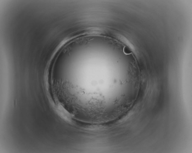 X0000113891091200909241412