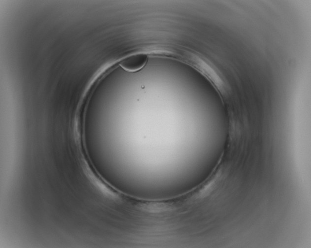 X0000113891092200909241412