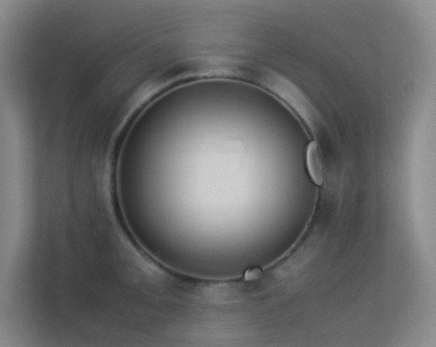 X0000113891093200909241412