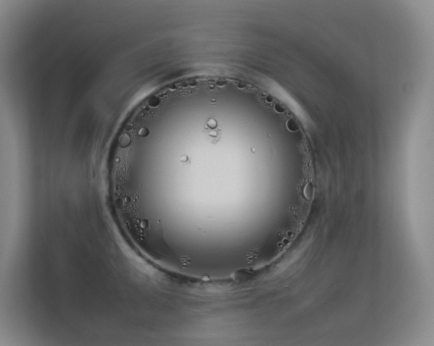 X0000113891095200909241412
