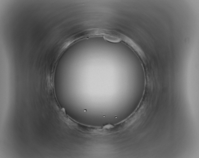 X0000113891097200909241412