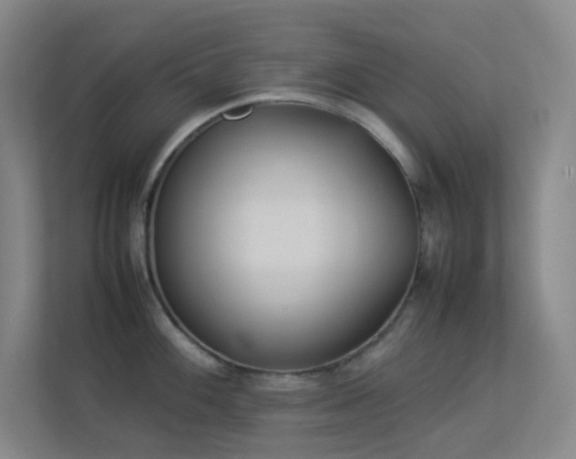 X0000113891100200909241412