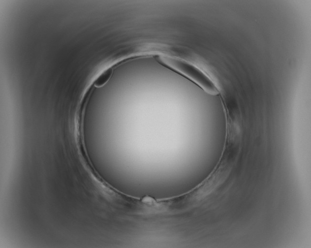 X0000113891101200909241412