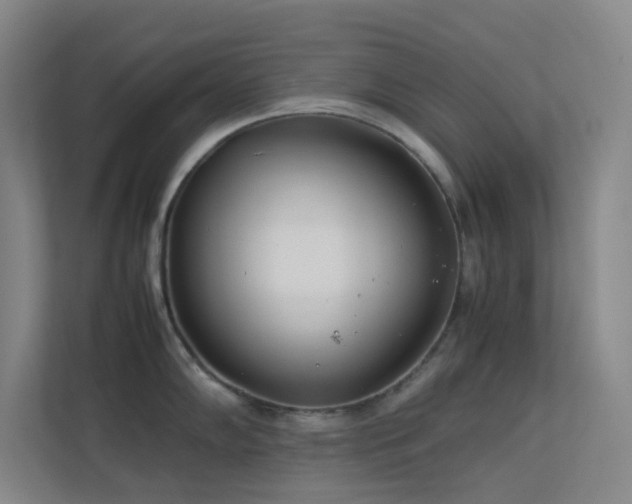 X0000113891102200909241412