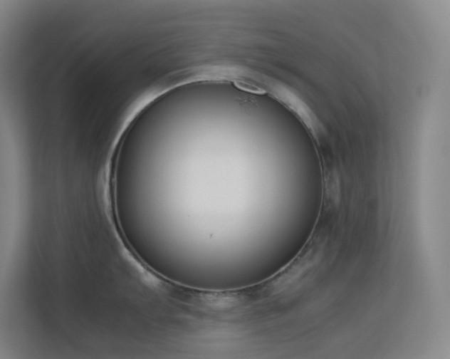 X0000113891103200909241412