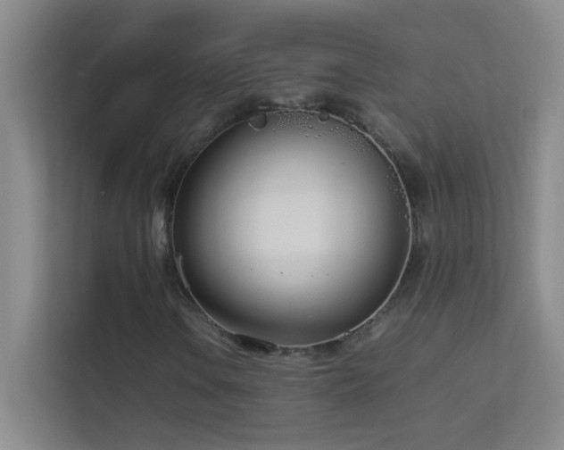X0000113891106200909241411